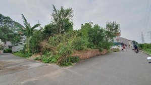 65m2 đất full thổ cư nghĩa trụ, văn giang, hưng yên