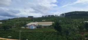 chính chủ bán 240m² sẵn thổ cư mê linh, lâm hà ven đà lạt