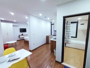 chính chủ cho thuê căn studio 40m2 có máy giặt riêng khu đào tấn