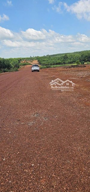 bán đất tân tiến - đồng phú - bình dương