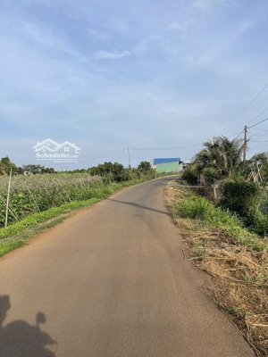 chính chủ cần bán gấp lô đất cực đẹp 2000m2 ngay xuân bảo giáp cao tốc dg-pt ngay ql 1a