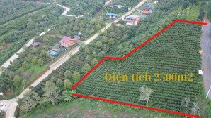 khách cần tiền ra gấp lô đất tâm huyết 2500m2, tặng nhà gỗ 500tr và cảnh quan. giá 1tr4/m2