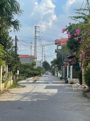 chính chủ bán lô đất đấu giá tại làng hoa phụng công 80,5m2. vị trí trung tâm, gần trường, chợ