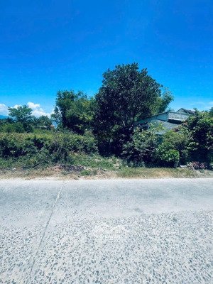 mình chính chủ cần bán nhanh lô đất thổ cư ninh phú - ninh hoà