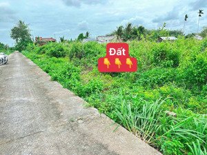 5m x 31m full thổ đường bê tông 4m shr 430triệu 1sec nhựa nhánh sát kcn hiệp thạnh