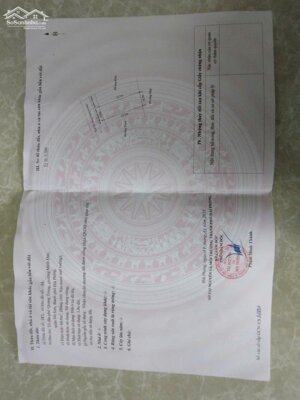 Lô góc siêu đẹp TDP Quang Trung, Minh Đức, Đồ Sơn, Hải Phòng 124m