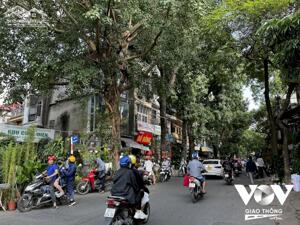 Bán nhà mặt phố Bưởi, Ba Đình, 64m2, 3 tầng, chỉ 19.5 tỷ