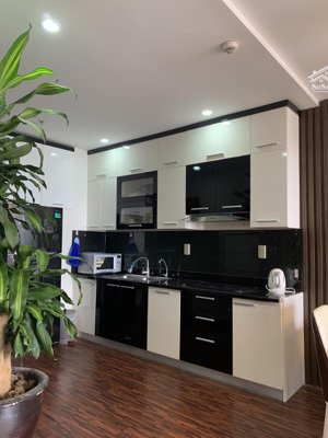 cho thuê căn hộ chung cư shp 2pn2wc giá chỉ 10tr/ tháng