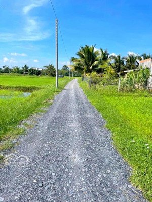 đất phân lô sẵn dễ đầu tư cách vingroup 900 ha bán kính 1km