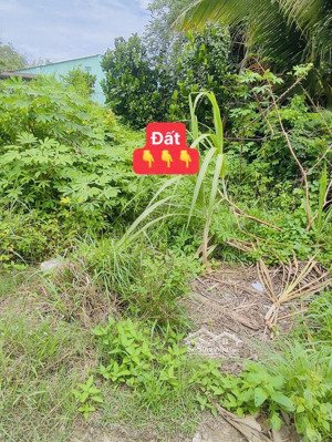 đất 1 sec nhựa ngang 6 dài 24 full thổ đường 4m shr 370tr nhà dân đông bông trang thạnh đức