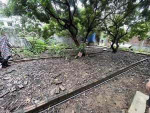 bán đất đức thắng 1.95 tỷ bắc từ liêm