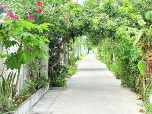 Bán Đất Kp3 Phường Bến Tre Hẻm Quán Ăn Hương Biển