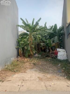 Bán đất Trại Giao, Khai Quang, Vĩnh Yên, Vĩnh Phúc. Giá chỉ 2.5 tỷ. LH: 098.991.6263