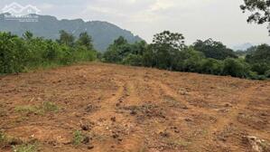  CHỈ HƠN 700K/M² – SỞ HỮU NGAY GẦN 4.000M² ĐẤT NGHỈ DƯỠNG CỰC HIẾM!