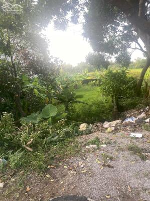 BÁN ĐẤT MẶT TIỀN QUỐC LỘ 45 – XÃ QUẢNG YÊN – GẦN SUỐI KHOÁNG SUN ONSEN