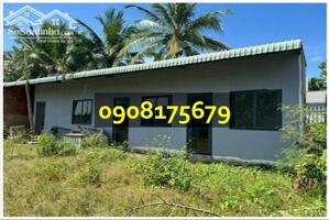 ⭐Chính chủ cho thuê lô đất mặt tiền đường Nhị Bình 15, xã Đông Thạnh (mới), TP.HCM, 0908175679