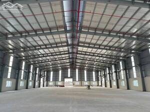 Cho thuê kho xưởng 5000m2 tại Bến Lức, Long An. Làm xưởng sản xuất hoặc kho chứa hàng