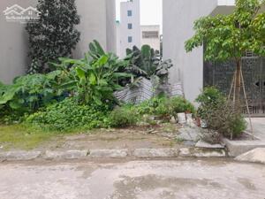 ĐẤT BIÊN GIANG ĐƯỜNG ÔTÔ TRÁNH KINH DOANH HƠN 5 TỶ