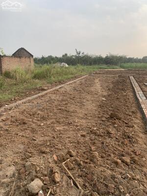 Bán Lô Đất Vàng 200m2 Tại Yên Vinh - Quang Minh ( Thanh Lâm Cũ ) Hà Nội - An Cư Lập Nghiệp Hoàn Hảo
