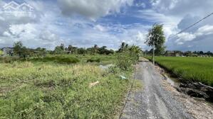 Nền thổ cư ấp 8 Nhựt Chánh giá công nhân