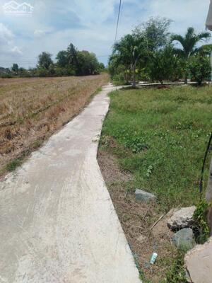 (7mx18m) có 50m2 thổ cư giá 170 triệu tại Tân Trung, TP Gò Công, TG nay là P.Sơn Qui, tỉnh Đồng Tháp