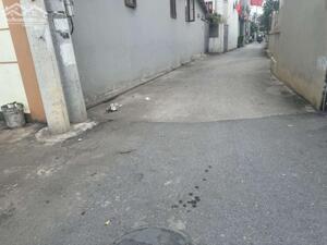 Mảnh đất đầu tư Kiêu Kỵ giáp VinOceanPark giá nhỉnh 3 tỷ