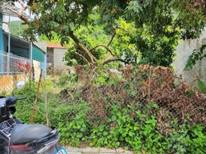 Bán đất tổ4 thị trấn Mường Ảng, tỉnh Điện Biên