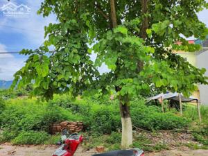 Bán đất tổ3 thị trấn Mường Ảng, tỉnh Điện Biên
