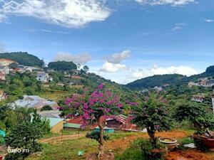 BÁN 2 LÔ BIỆT LẬP KHE SANH VIEW RỪNG THÔNG