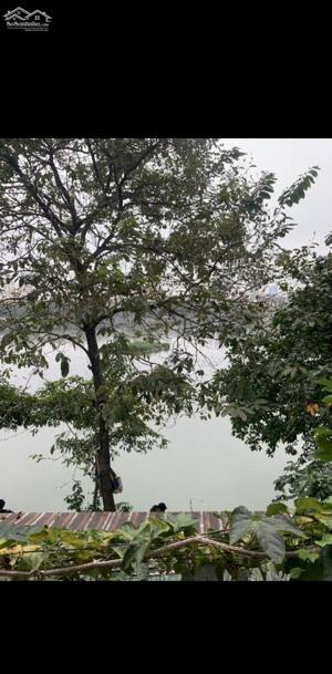 ⭐️BÁN GẤP NHÀ MẶT HỒ XÃ ĐÀN 150m2 VIEW HỒ MẶT TIỀN RỘNG GIÁ 50 TỈ CÓ THƯƠNG LƯỢNG