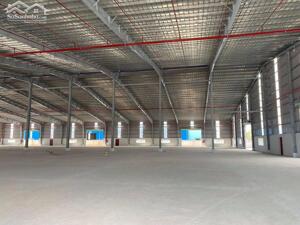 Cho thuê Kho xưởng tại KCN Tân Kim, Cần Giuộc, Long An. Dt 1300m2, 2600m2.