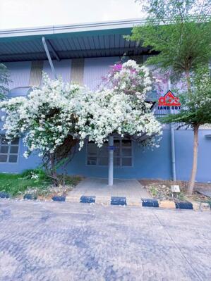Cho thuê nhà xưởng 4000m2 KCN Tam Phước, Biên Hòa, giá thuê 470tr/tháng.