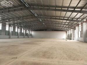 Cho Thuê Xưởng 9,800m2 KCN Phú Mỹ 1, Tx Phú Mỹ, BRVT