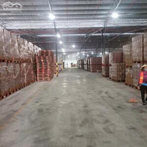 Cho thuê kho bãi 10.500m2 MT Võ Nguyên Giáp Cần Thơ