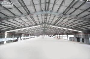 CÒN 2 XƯỞNG TRỐNG MOIIX XƯỞNG 4500m2 CHO THUÊ TẠI TÂN UYÊN - HCM