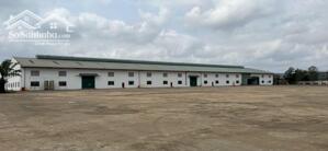Cho Thuê Xưởng 20.640m2 đến 10ha Thuộc KCN Bàu Bàng, Huyện Bàu Bàng, Bình Dương