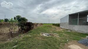 nền thổ cư mặt tiền lộ cai tài đã san lấp