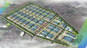 LH : 0936298578 : Hà Nam . Cụm Lê Hồ : 5000 ..8000 ..1ha ..2ha ..10 ha