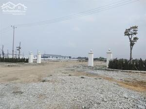 Cần bán 10.000m2 đất TMDV 50 năm tại mặt đường Huyện Ninh Giang, Tỉnh Hải Dương