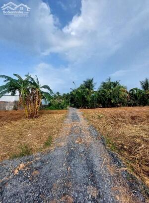 Bán nền tại Phường Bến Tre đường xe 7 chỗ giá 410tr/ nền