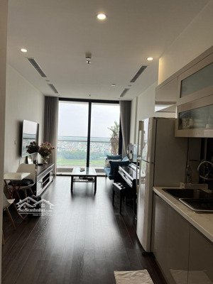 cho thuê căn hộ 2 phòng ngủ, full nội thất tại symphony, long biên. s: 66m2. giá: 12tr/tháng