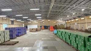 cho thuê kho xưởng rộng 1000m2 ngay chợ phường 7, bến tre. hệ thống pccc đầy đủ