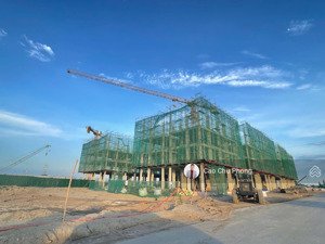 noxh vinhomes tràng cát - happy home - đăng ký tư vấn a-z: - phong đất