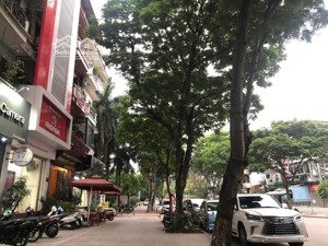 chính chủ muốn bán căn nhà mặt phố vạn phúc ba đình. vỉa hè rộng, kd đỉnh . dt 60m, 5t. bán 36,5tỷ