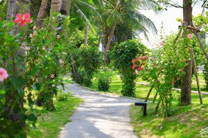 casamia balanca hội an biệt thự ven sông, sở hữu lâu dài giữa lòng phố hội