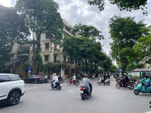 bán biệt thự mễ trì, nam từ liêm, siêu đẹp, an sinh đỉnh, kinh doanh tốt, 215m2, giá chỉ 47.5 tỷ