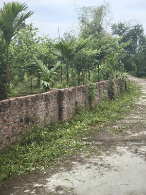 bán 162m đất thổ cư gần cụm công nghiệp phân lô ô tô phường phượng sơn bắc ninh nhỉnh 400 triệu