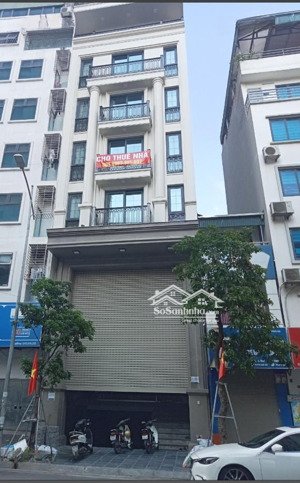 cho thuê nhà phố trung kính _ yên hoà, diện tích: 75m x 5 tầng, mặt tiền : 6m, có thang máy, pccc
