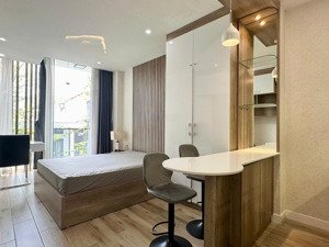 căn hộ chung cư cao cấp 1pn bancol view cây xan gần bờ kè hoàng sa, q3, hẻm xe hơi, có thang máy