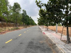 cần tiền gấp. bán lô đất 100m2 gần khu sân banh bàu bàng. full 100% thổ cư giá chỉ 1 tỷ 900, sổ sẵn